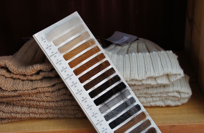 Alpaca wool comes in many natural shades and is not dyed before  being turned into items of clothing